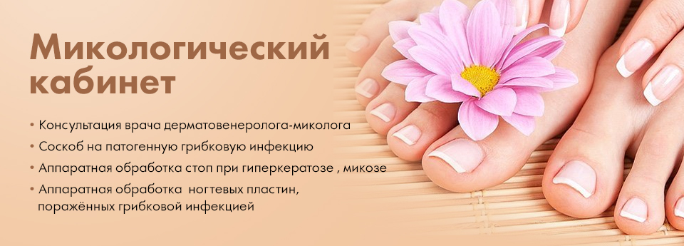 Мікологічний кабінет Мікологічний кабінет